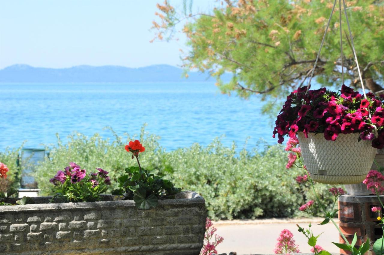 Apartments Matesic Zadar Buitenkant foto