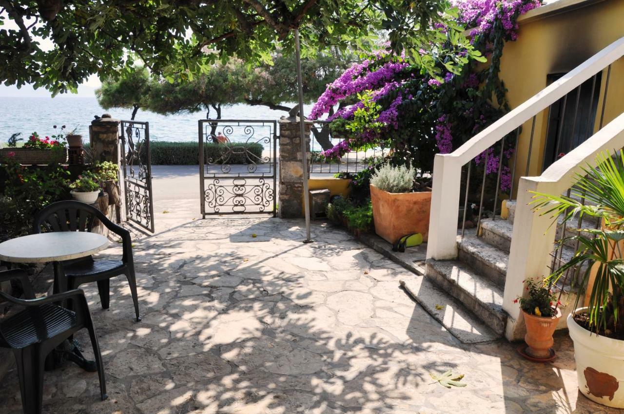 Apartments Matesic Zadar Buitenkant foto
